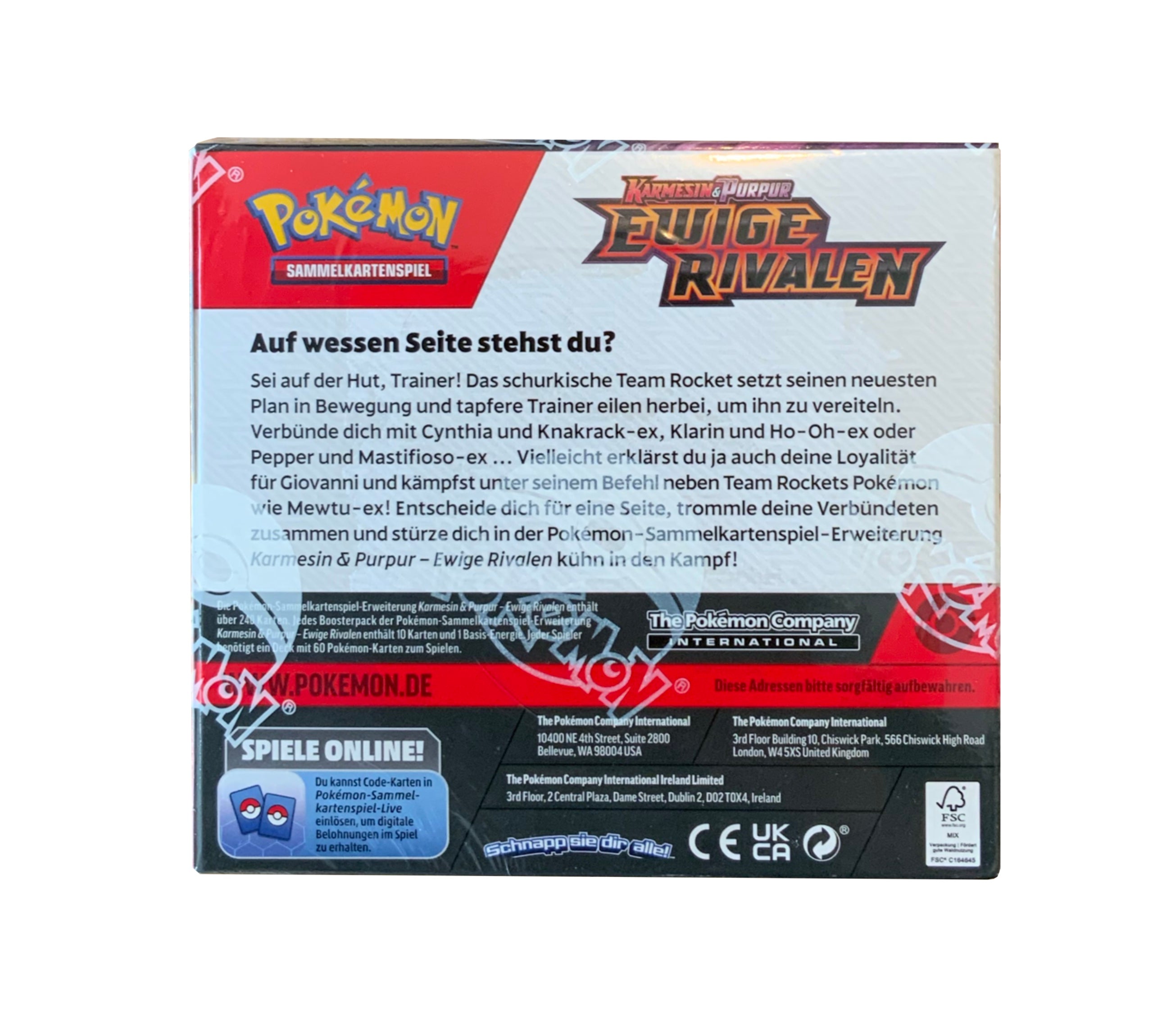 Pokémon Ewige Rivalen Display